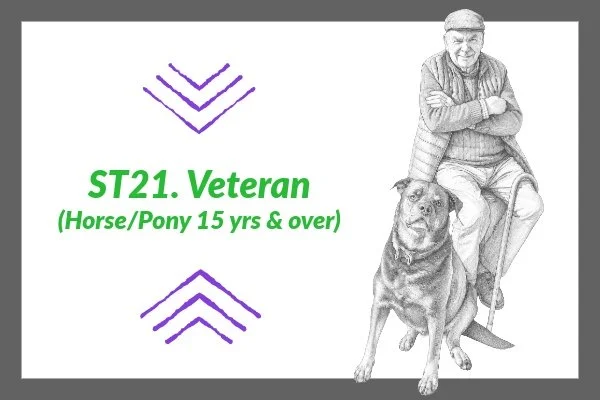 ST 21. Veteran