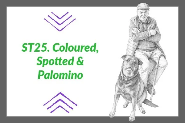 ST 25. Coloured, Spotted & Palomino