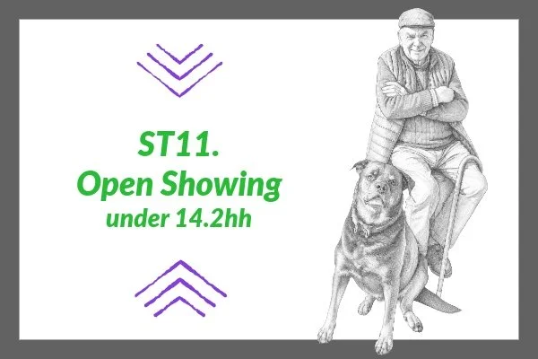 ST 11. Open Showing under 14.2hh