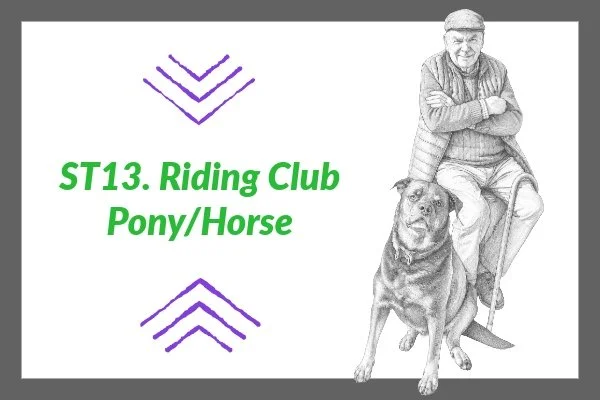 ST 13. Riding Club Pony/Horse