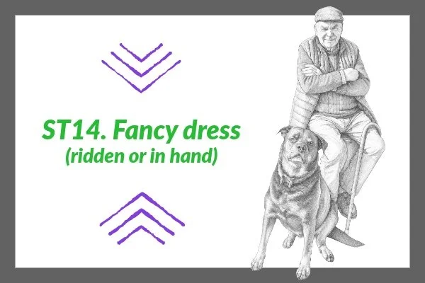 ST 14. Fancy dress