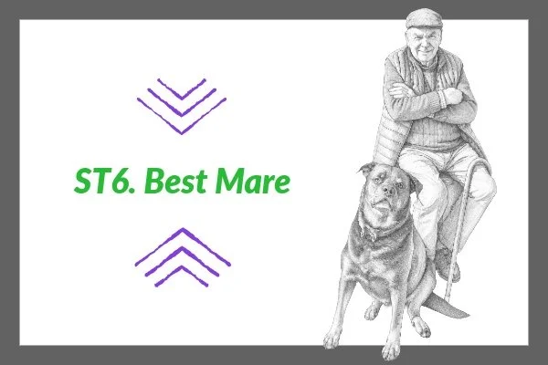 ST 6. Best Mare