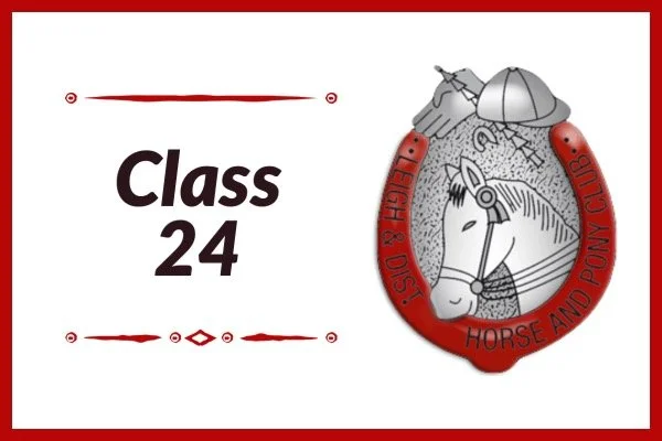 24. M&M Large Breeds