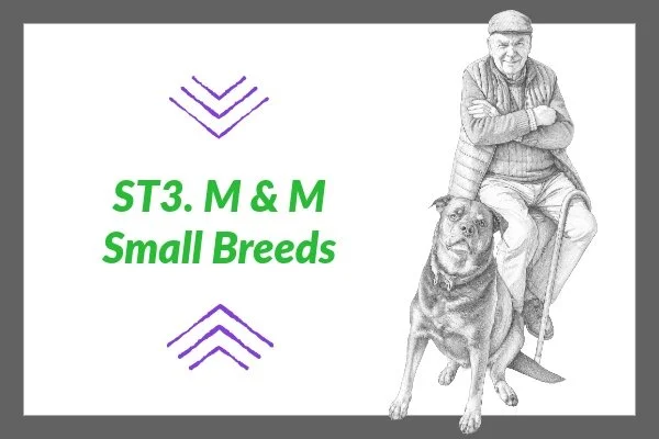 ST 3. M & M Small Breeds