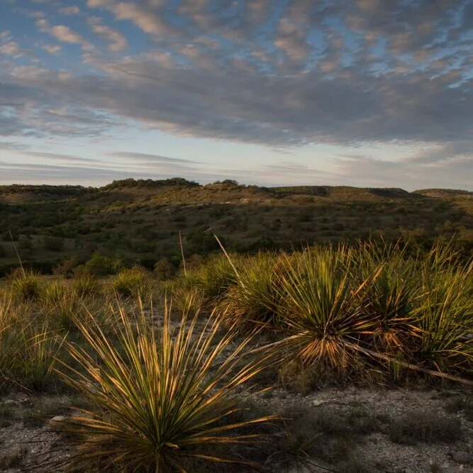 Our Story — Selah, Bamberger Ranch Preserve