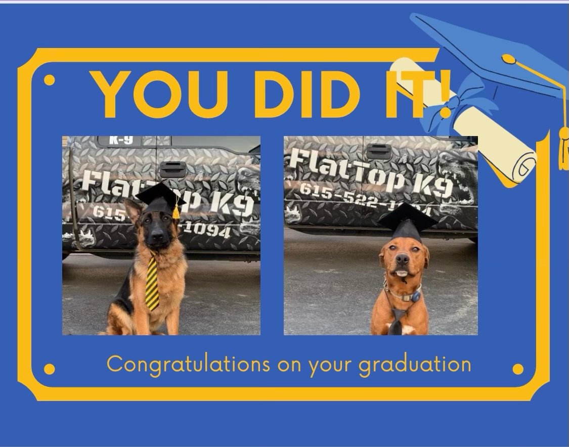 Gallery 3 — FlatTop K9 Dog Training Murfreesboro, TN