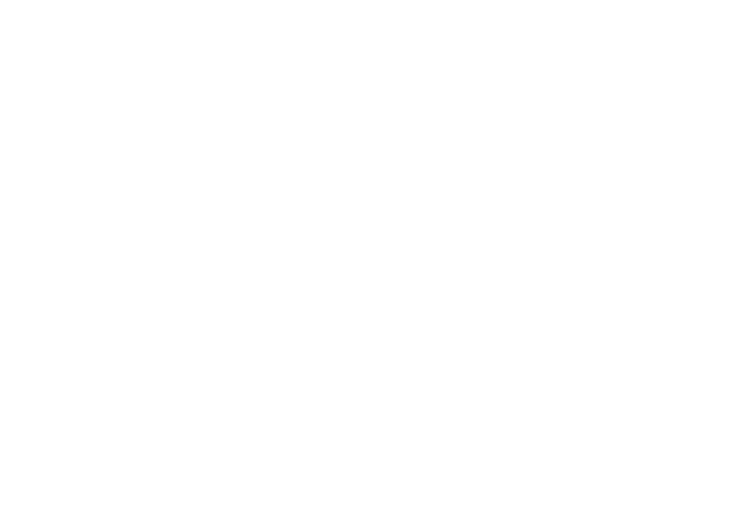 Reel Adventure 