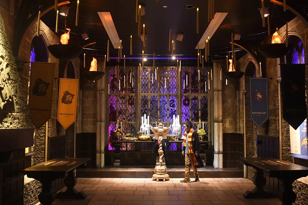 Harry Potter: Magic at Play