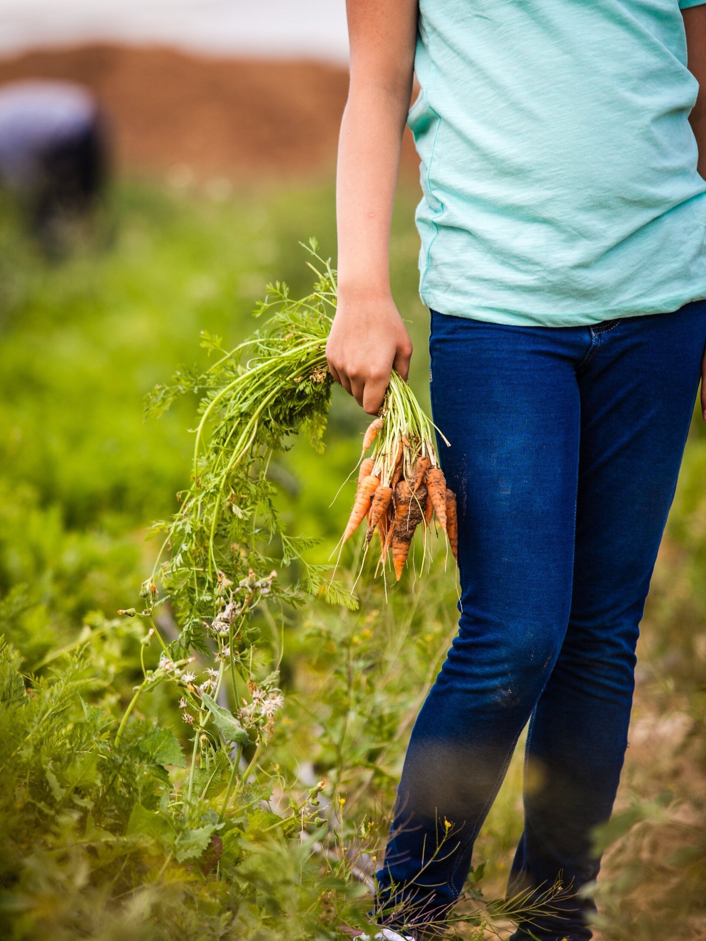Person_Holding_Carrots.jpg