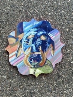 IMG_4447 Small.jpeg