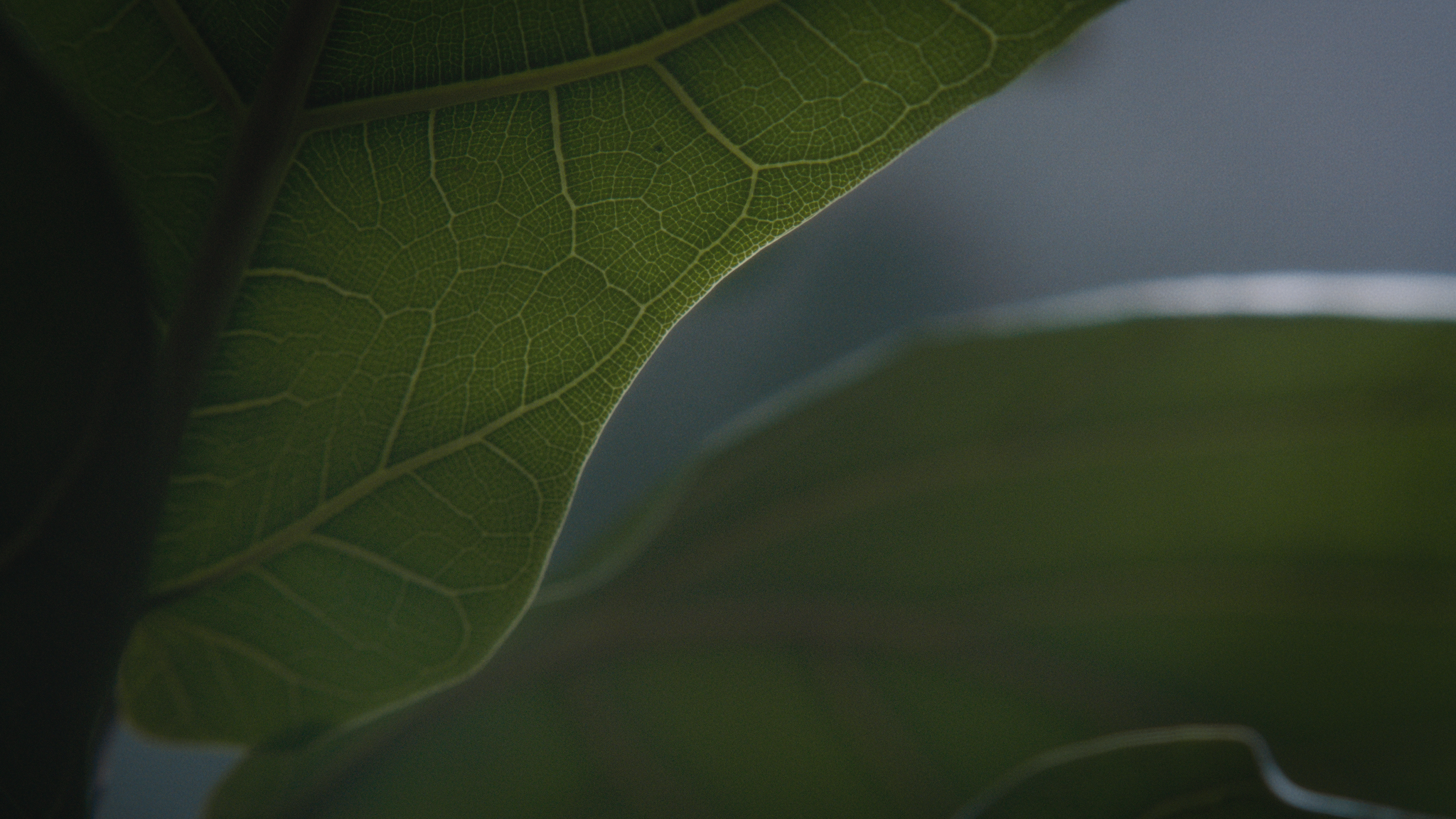 Still 2025-05-08 105217_1.57.1.png