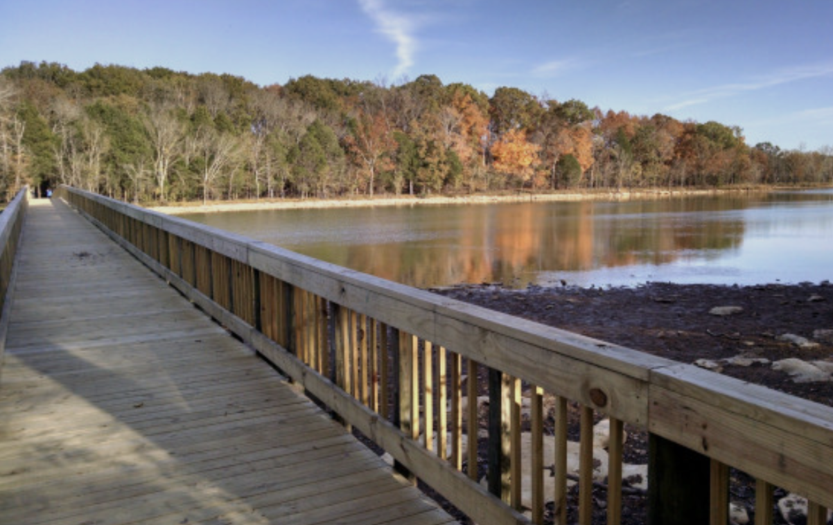 A serene wooden boardwalk stretching over the water at Long Hunter State Park, symbolizing the journey of finding peace and navigating life transitions with Daybreak Therapy in the Nashville area.