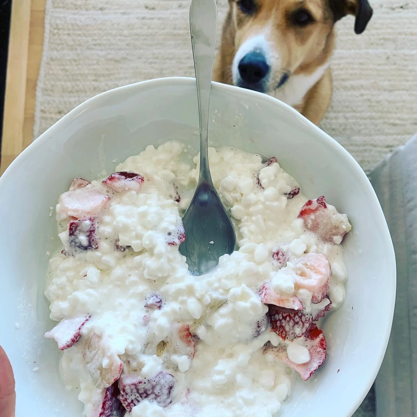 My clients are shocked they can eat this every day