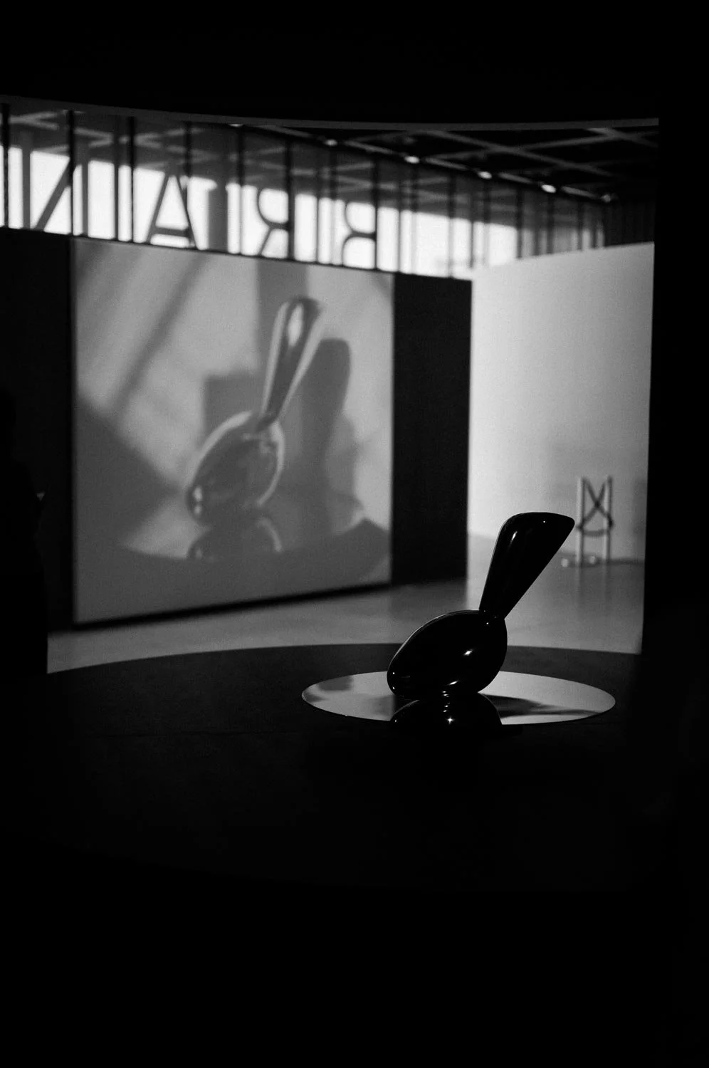 L1003737.jpg