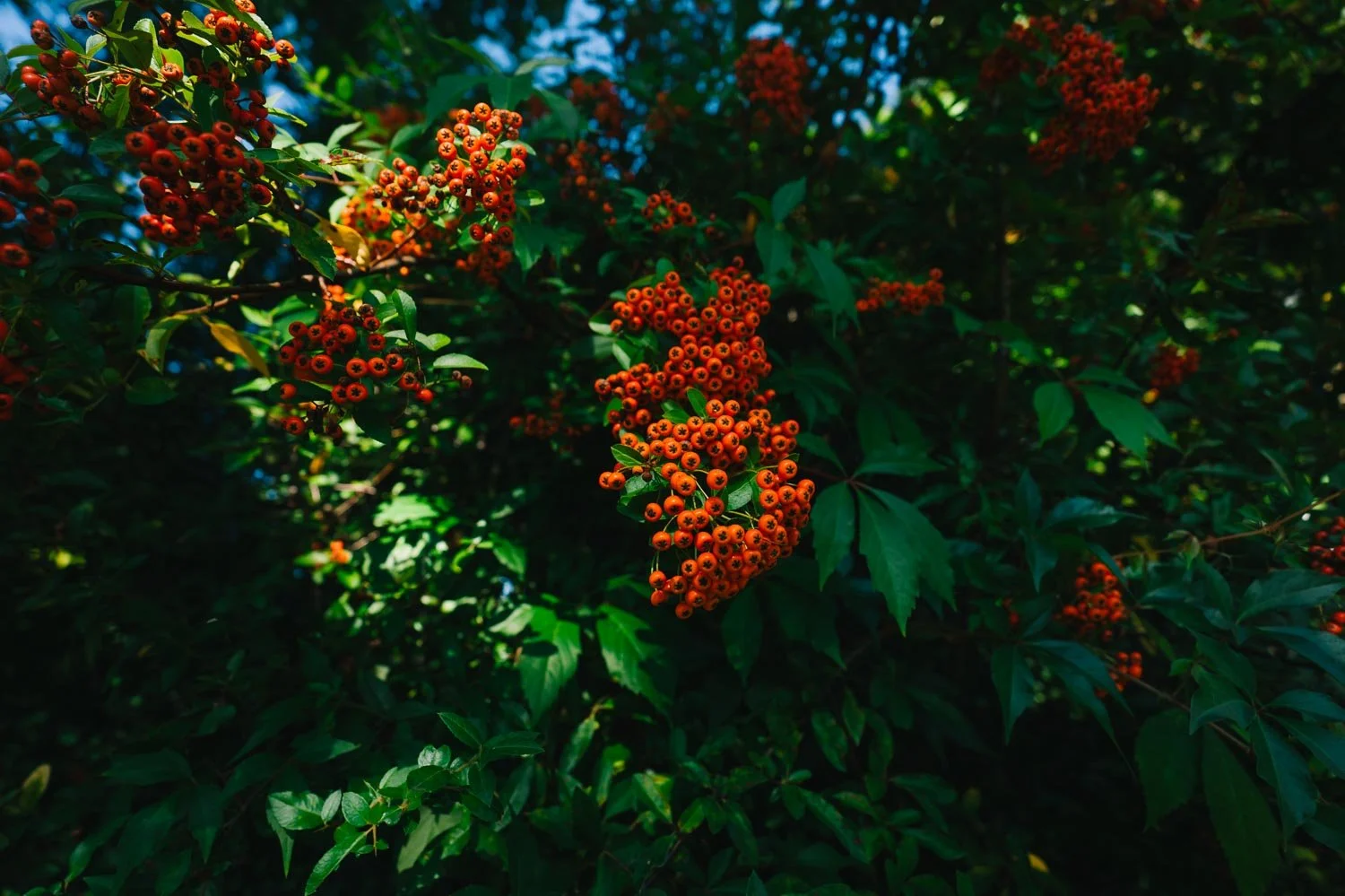 Leica SL 3 P sample photos-11.jpg