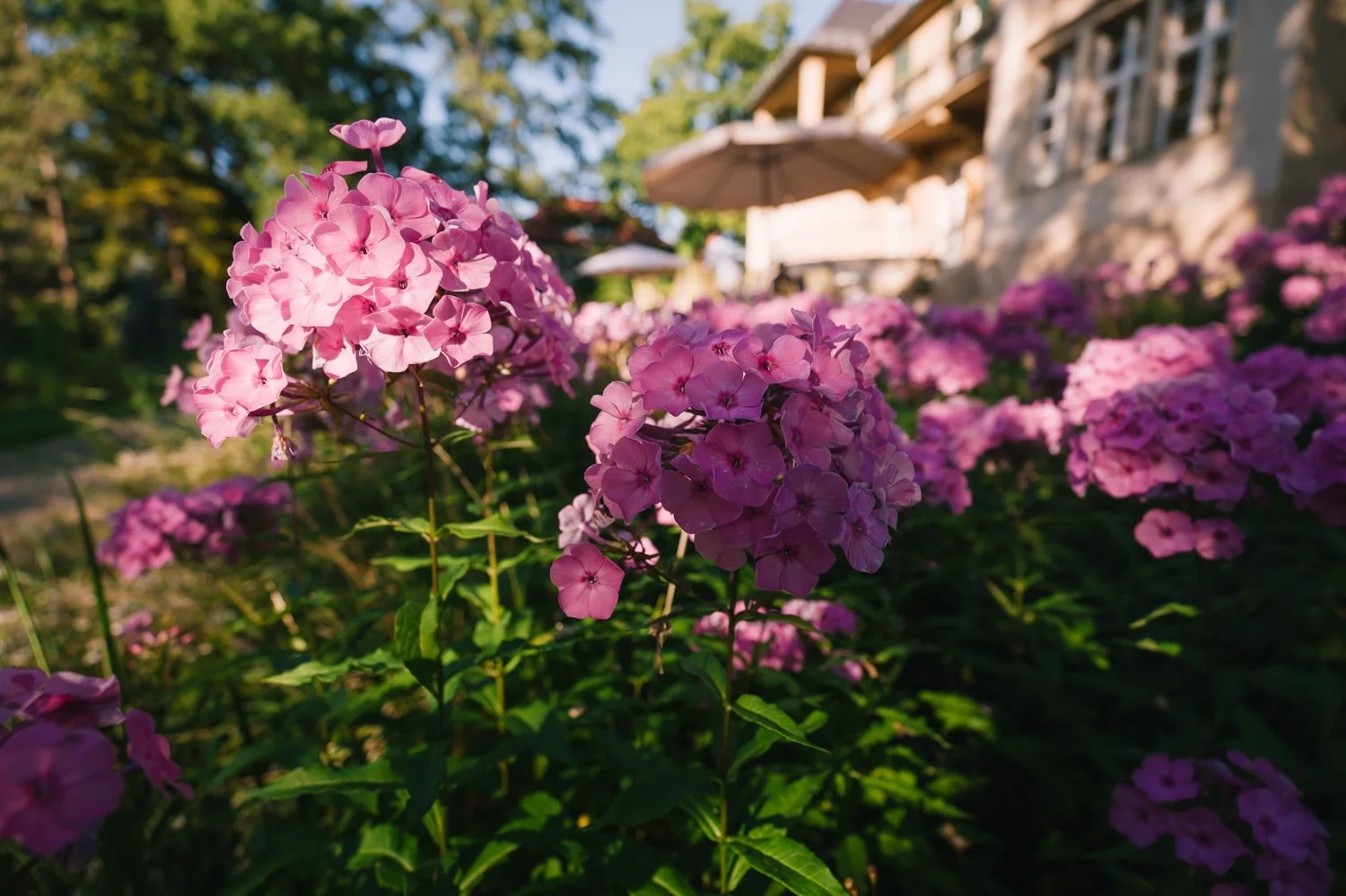 Leica SL 3 P sample photos-43.jpg