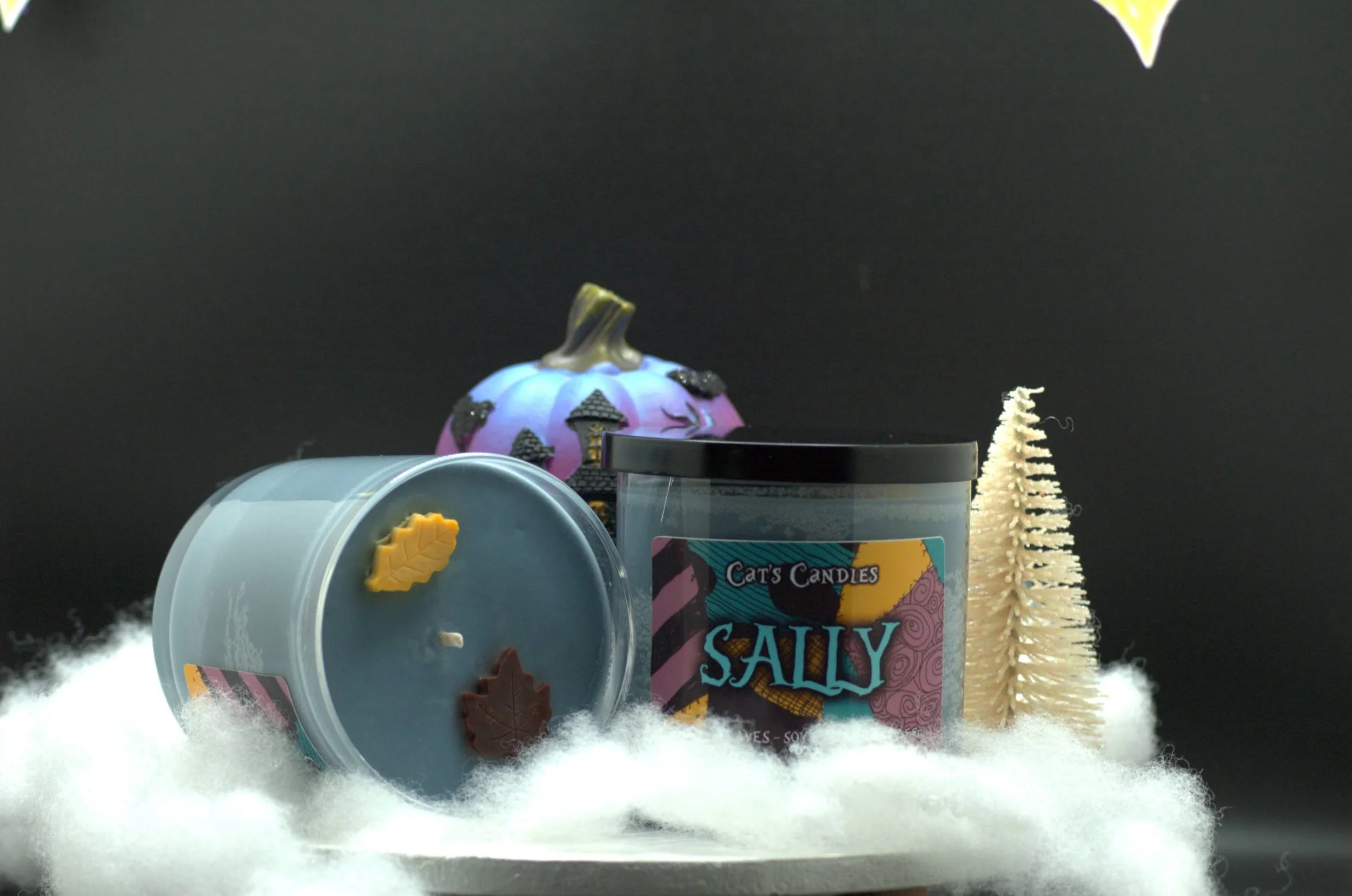 sally 1.jpeg