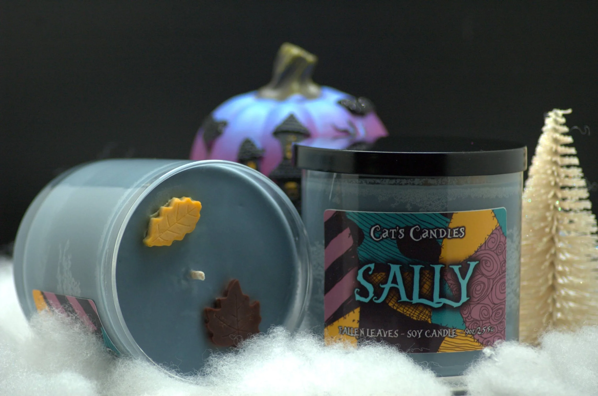 sally 2.jpeg