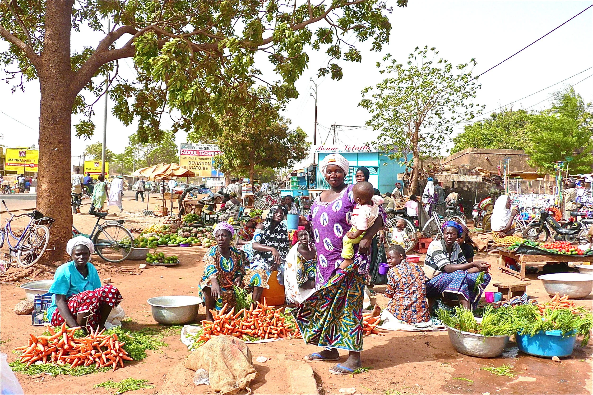 Collaborating locally and globally on a national CCEA platform in Burkina Faso