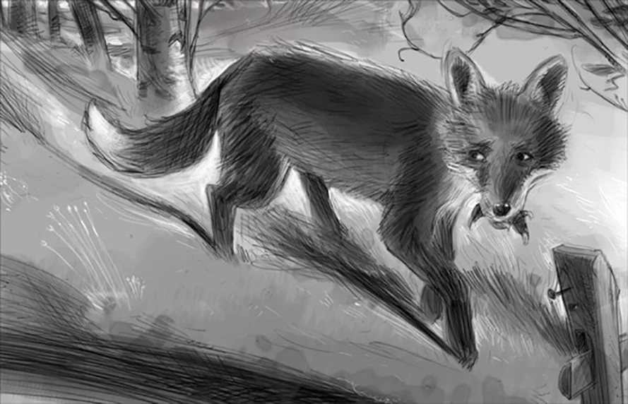 Fox-best_small copy.jpg