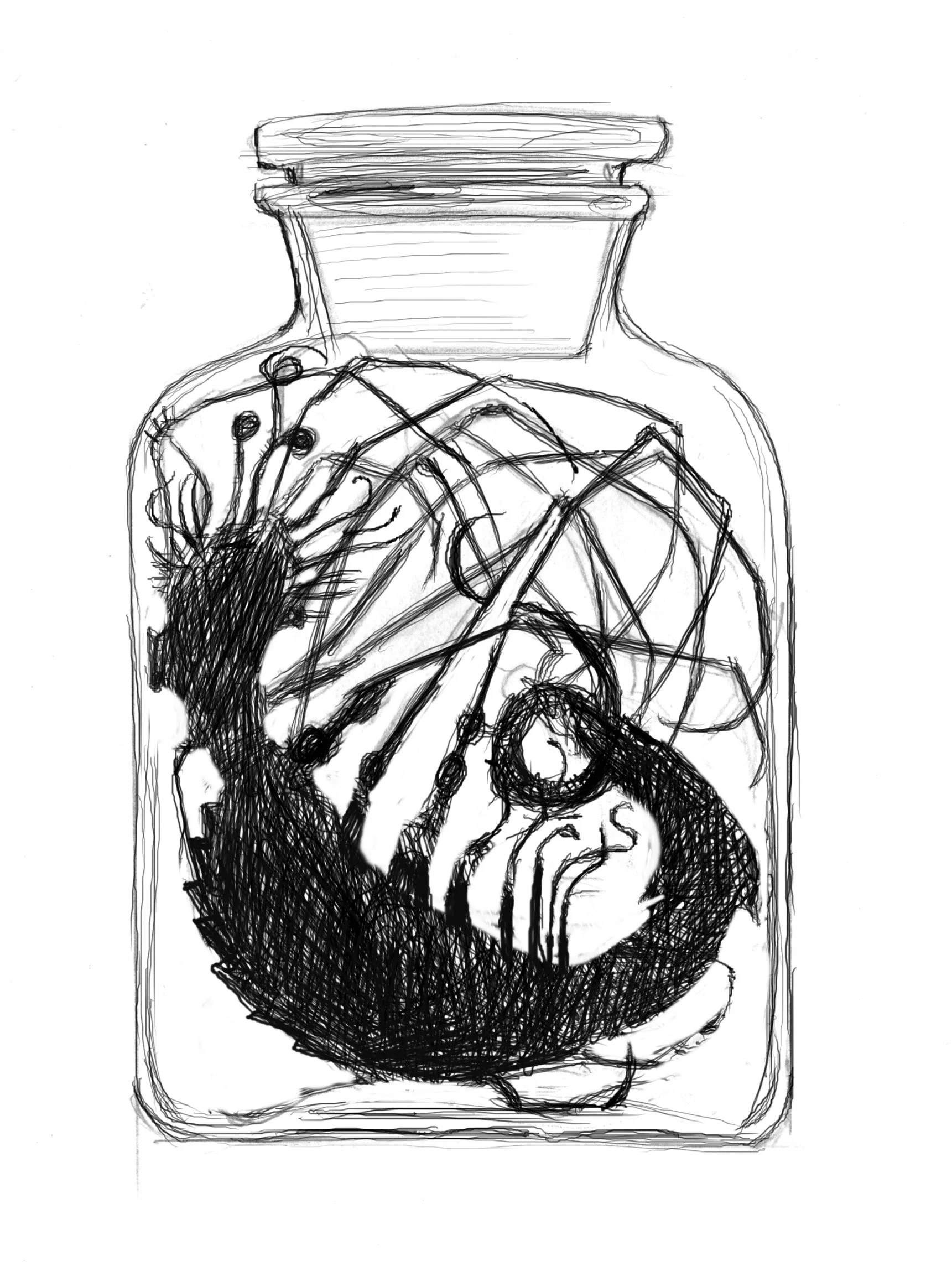 jar sketch.jpg