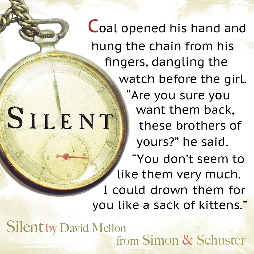 sack of kittens copy.jpg