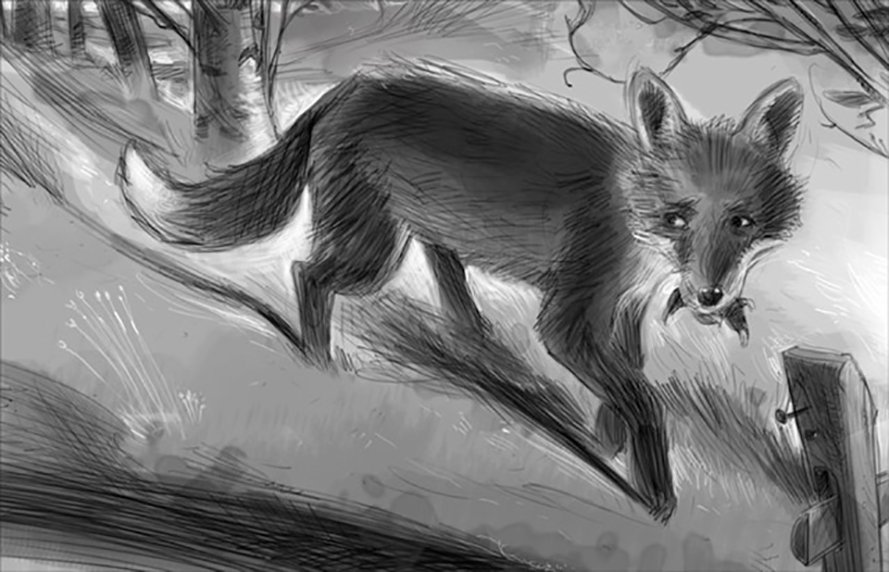 Fox-best_small copy.jpg