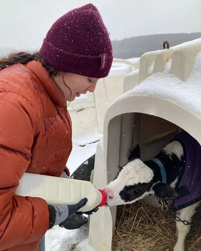 Thank you to our 20 New Members!