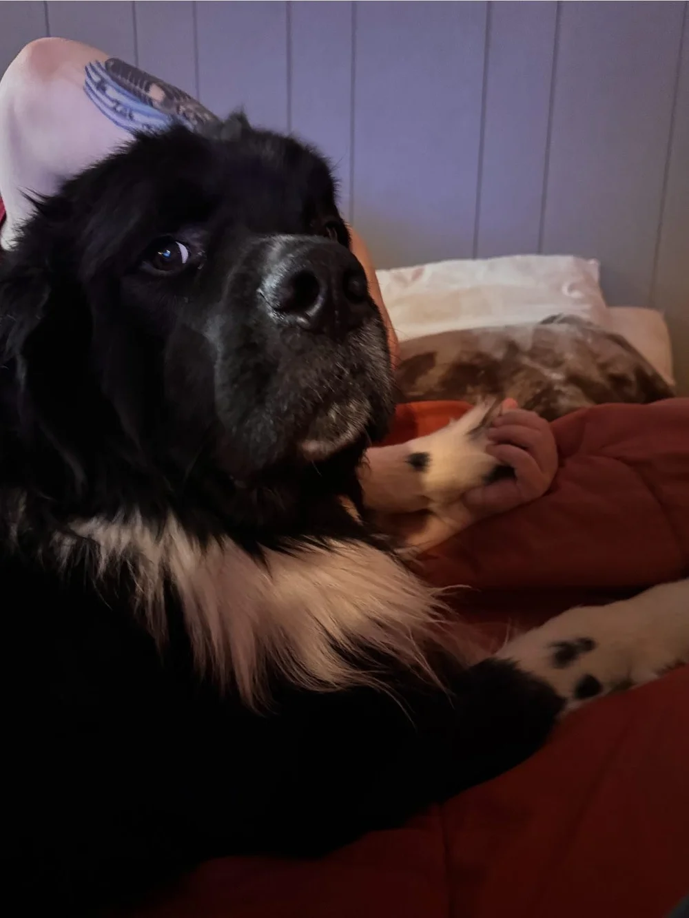 bashr holding my hand.jpeg