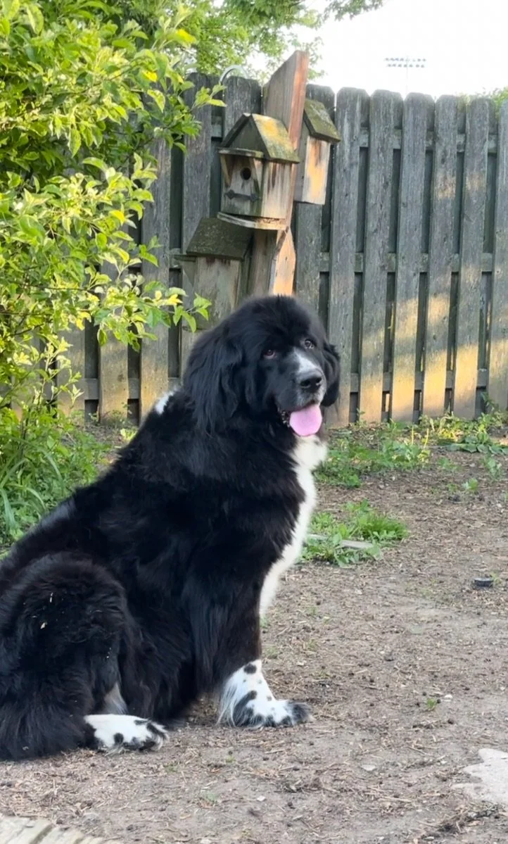 Screenshot 2025-05-27 at 9.14.00 PM.JPEG