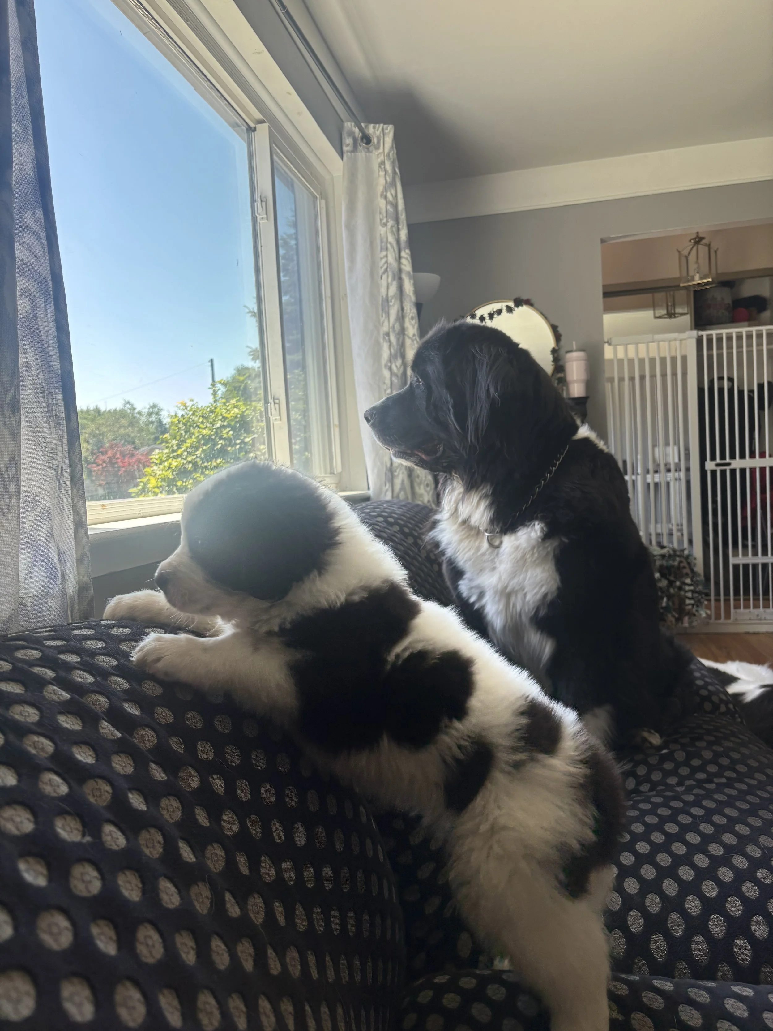 IMG_3879.jpeg
