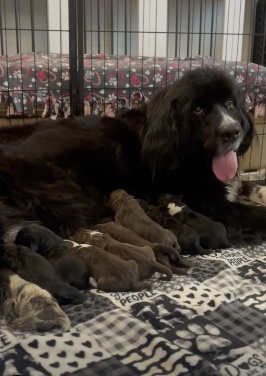 Screenshot 2025-12-13 at 8.17.59 PM.png