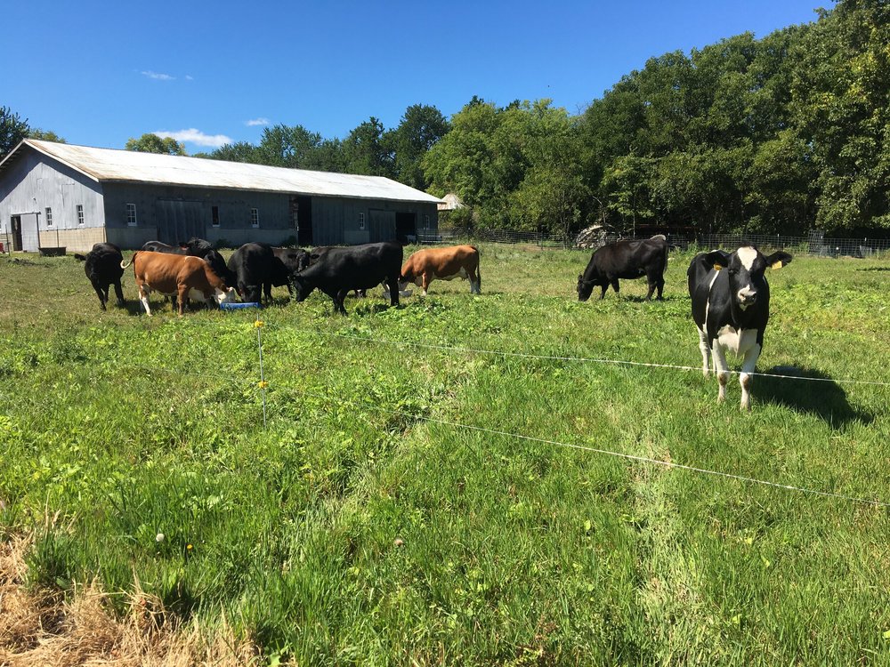 Firebolt Farms Lowell, Michigan