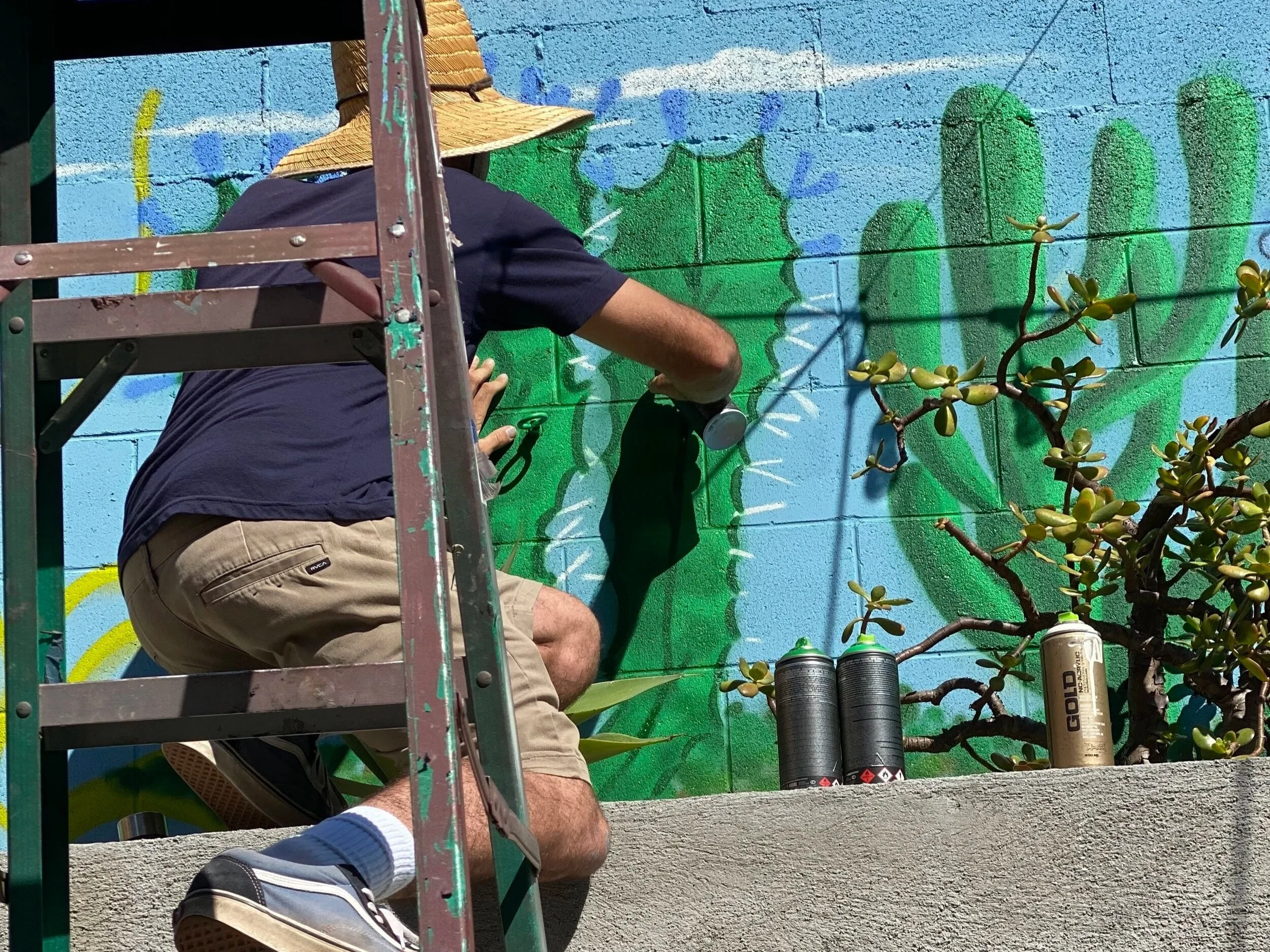 Murals & Artwork
