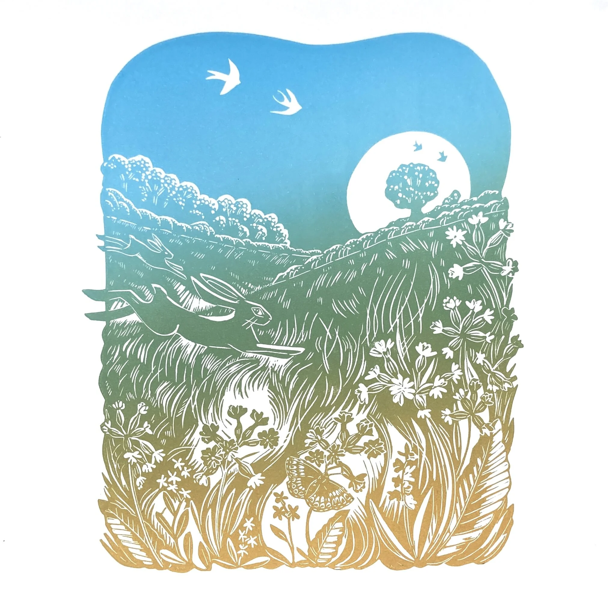 Shop — REBECCA DRURY PRINTS