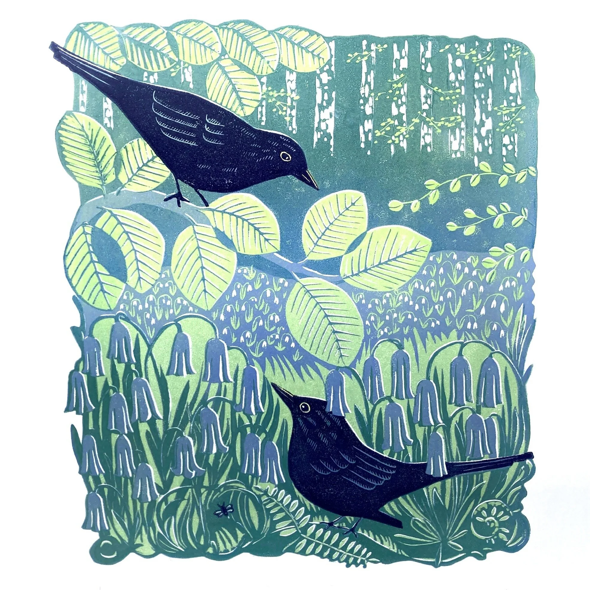 Shop — REBECCA DRURY PRINTS