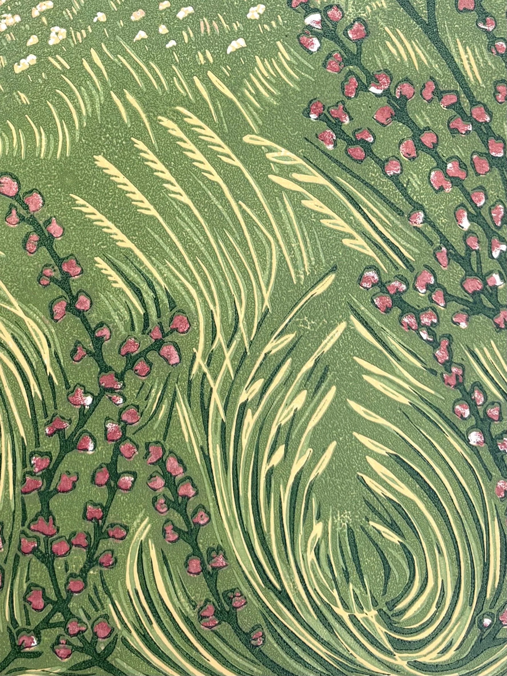IMG_6435.jpeg
