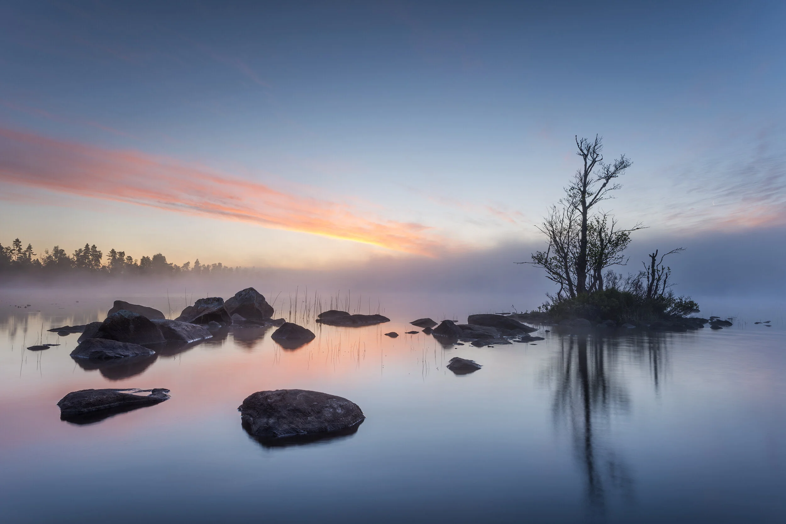 Zen morning 2500.jpg