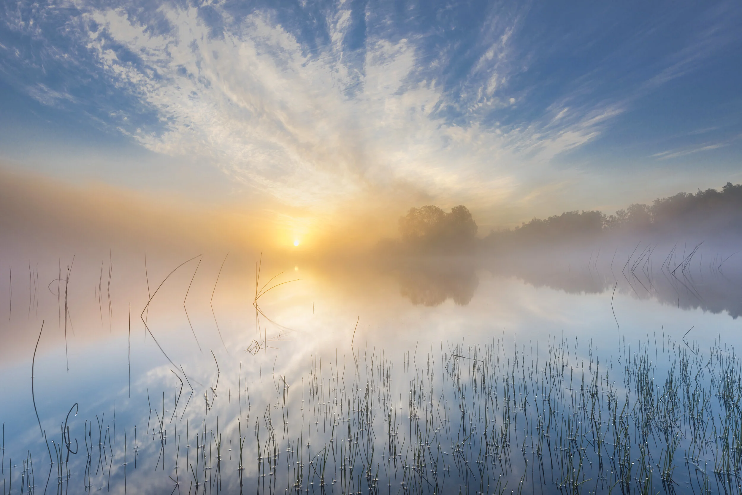 Power of light 2500.jpg