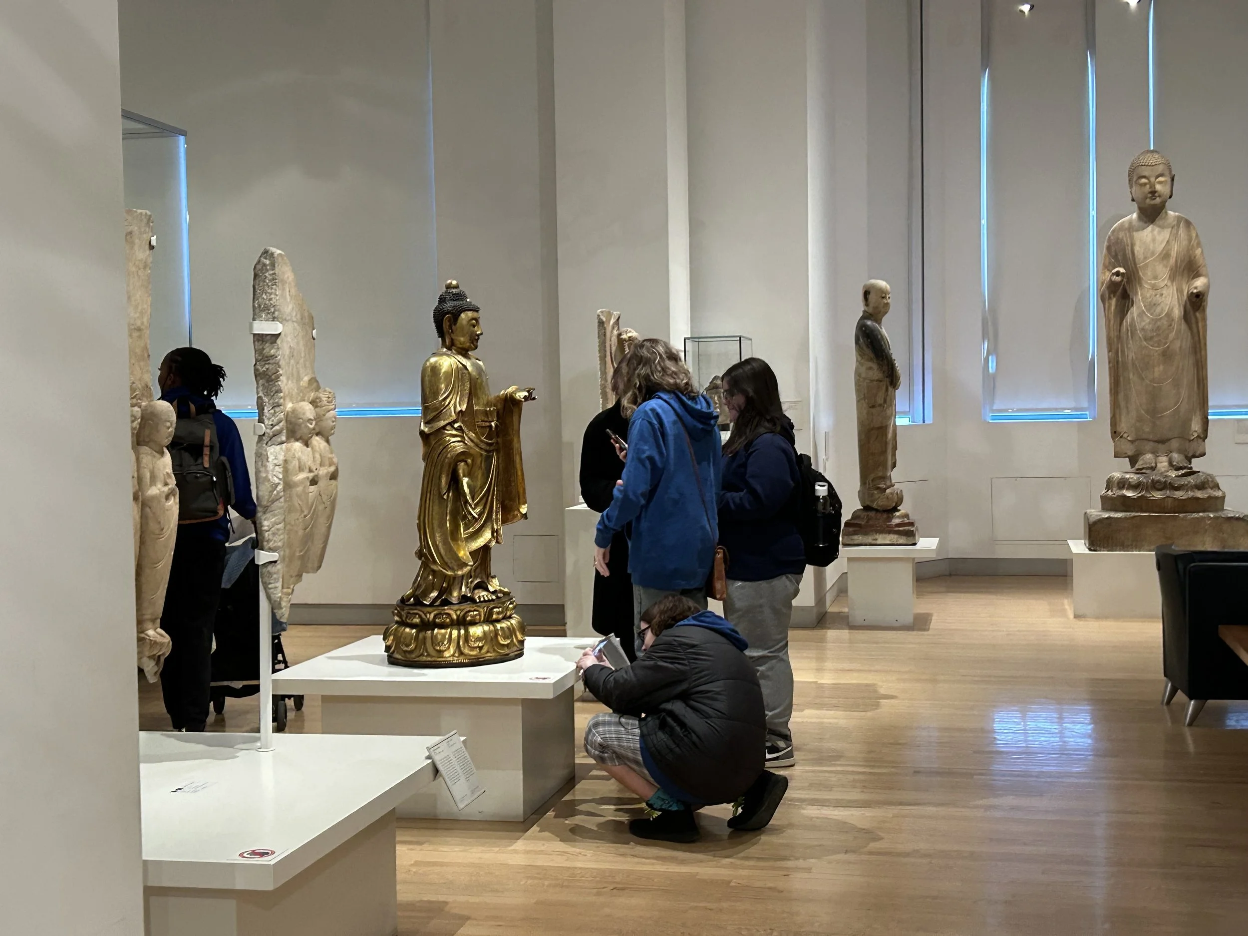 People observing ancient sculptures in a museum gallery with wooden floors, tall windows, and modern plain white walls.