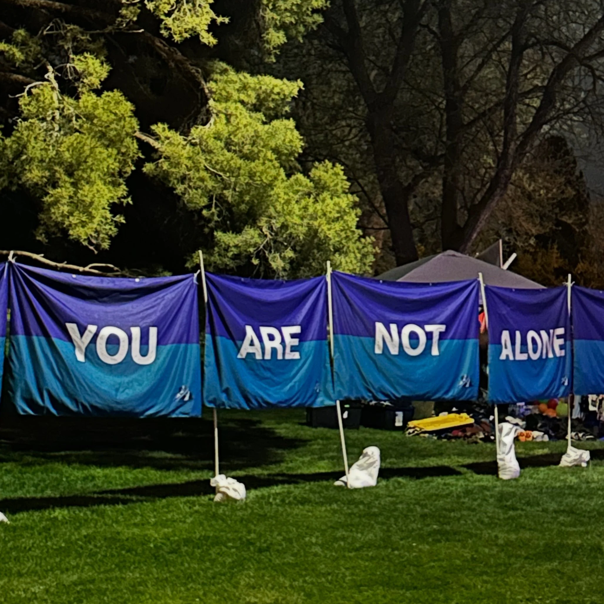 Four panels/ flag 6ft by 6ft each expanding up to 66ft says you are Not alone being displayed