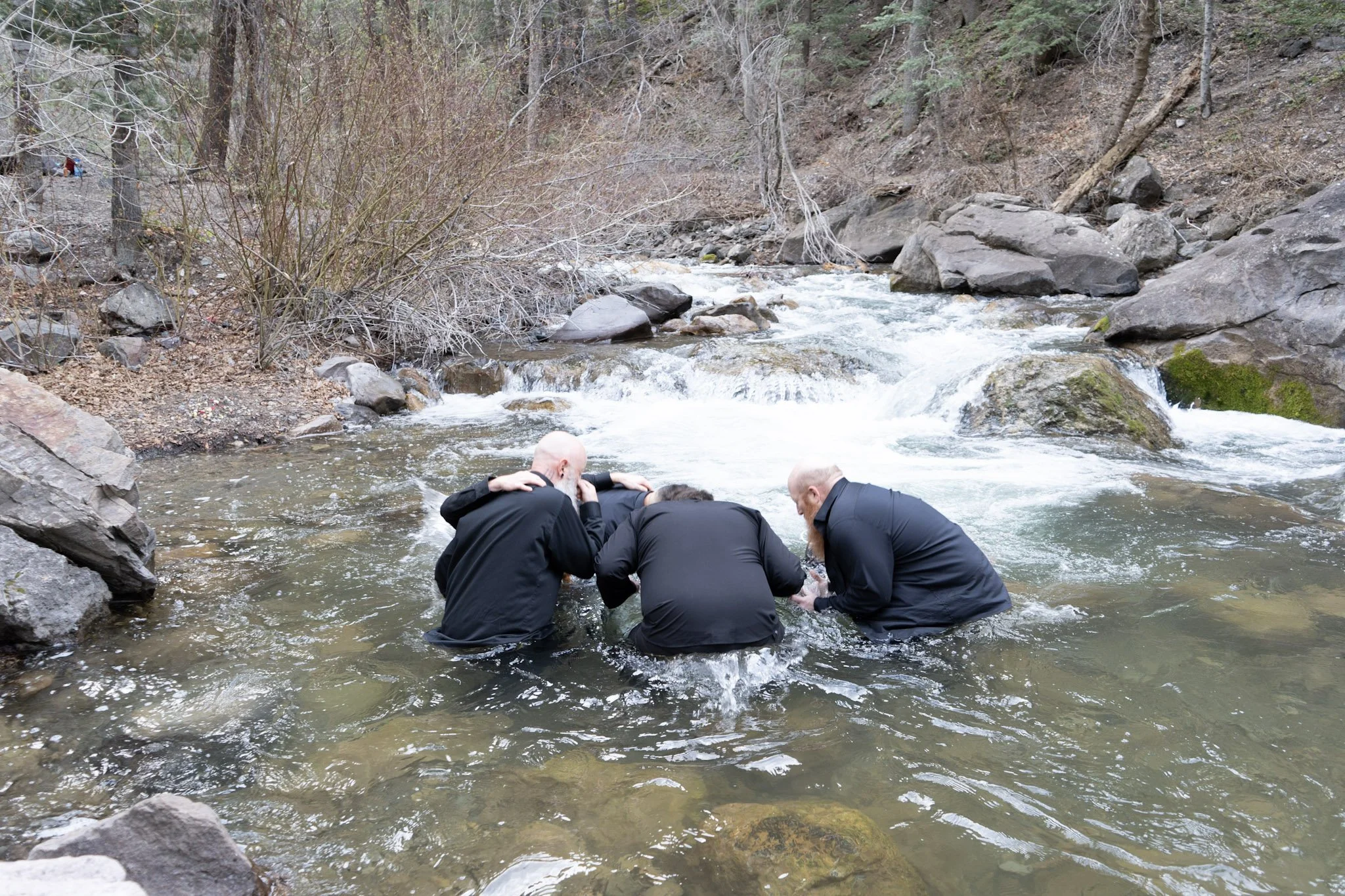 Cold Plunge