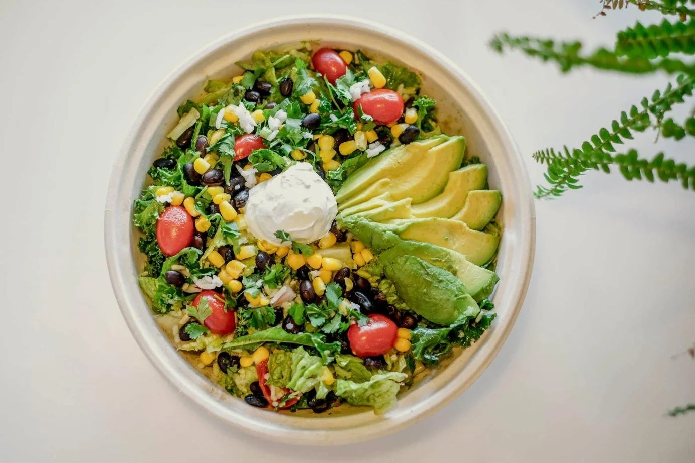 A bowl of mixed salad containing cherry tomatoes, corn, black beans, leafy greens, sliced avocado, and a dollop of sour cream, garnished with cilantro.