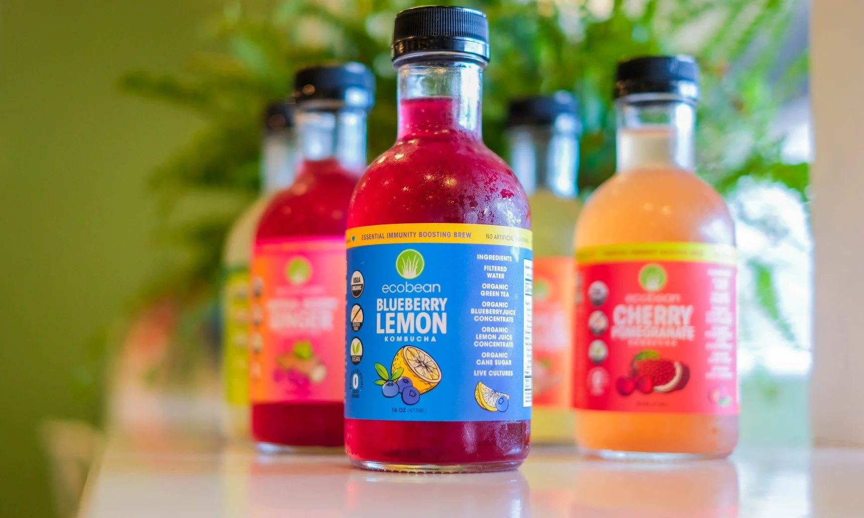  bottles of flavored kombucha drinks, with a blue labeled blueberry lemon flavor in front and a pink cherry pomegranate flavor behind, on a white surface with green foliage in the background.