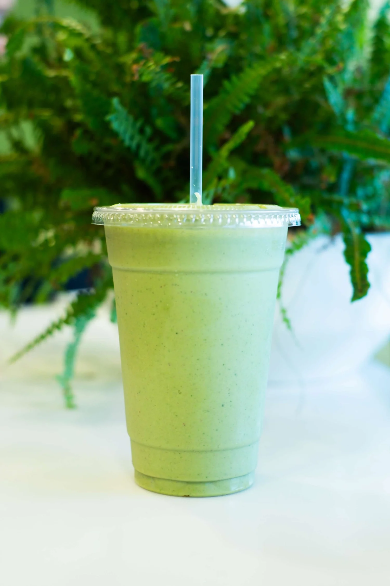 menu | Discover Healthy Options – Order Now — ECOBEAN