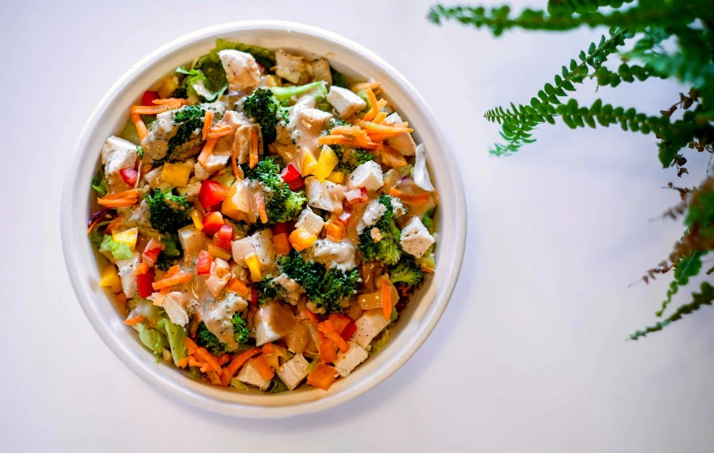 Small Steps Create Big Shifts  (Copy) (Copy) (Copy)