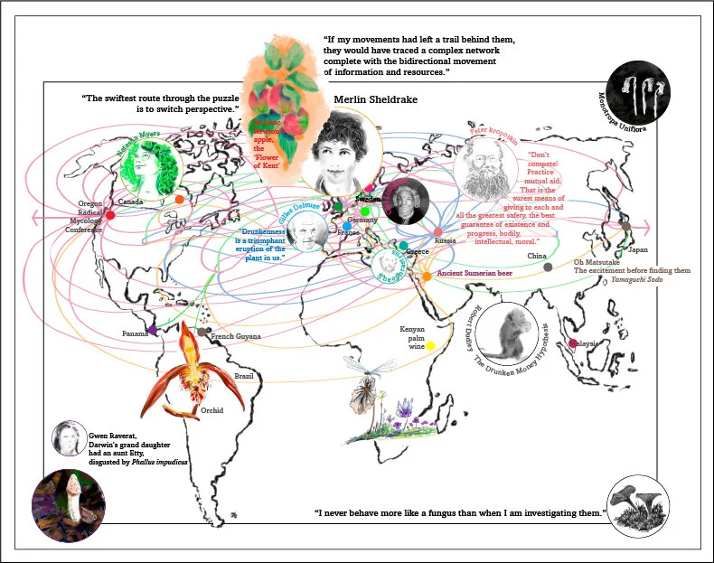 Merlin Sheldrake reveals the stories of all our connectedness in his book, ‘Entangled Life"‘. These stories move thru time and place. The story of Fungi is the focus and the metaphor. Revealing how we all (man, animal, plant, and fungi) are connected, wether we know it or not.