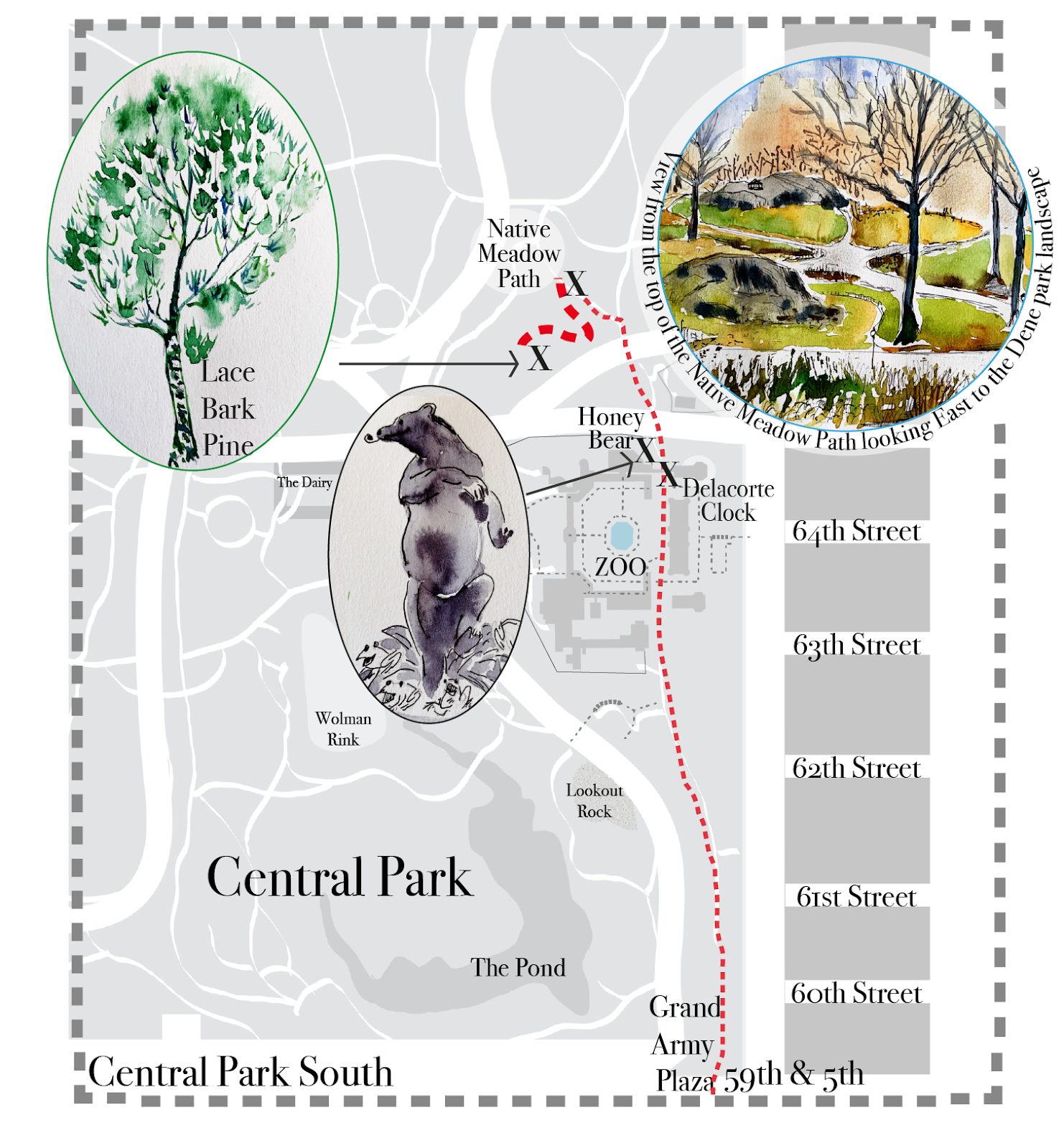 Map of Central Park in New York City showing paths, landmarks, and points of interest with illustrations of a tree, a bear, and a landscape scene.