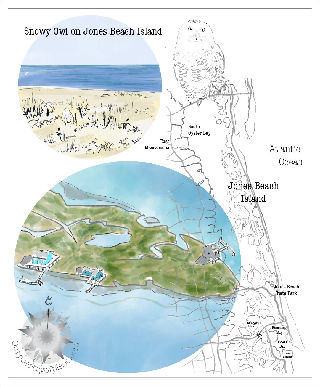 Map of Jones Beach Island with an inset illustration of a snowy owl on Jones Beach Island and a photo of a snowy owl, showing locations such as Jones Beach, Jones Beach State Park, and surrounding areas.
