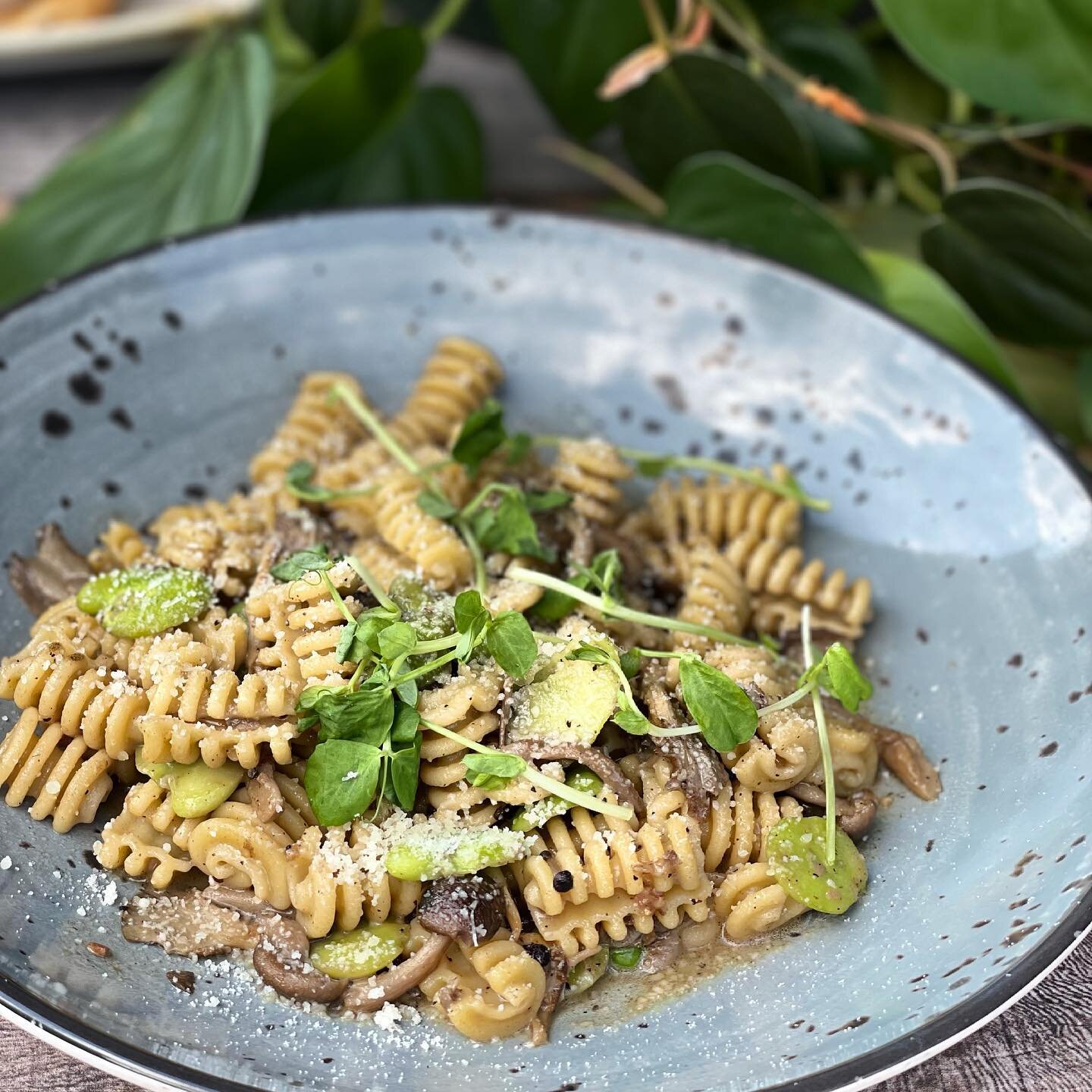 Indulge your taste buds with Summer&rsquo;s bounty, featuring the best &amp; the brightest. Come check out summer menu! 

Radiatore, Fava Beans, Local Mushrooms, Szechuan Peppercorn

#stoneacre #newportri #pasta #brasserie #eatlocal #delicieuse 
#fam
